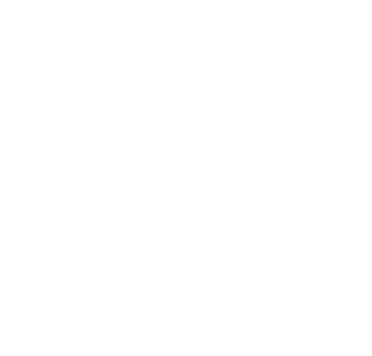 Vincent Company